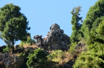 The Camel of Camels Back Road