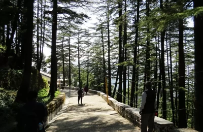 Green and Clean Mussoorie.