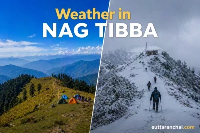 Nagtibba Weather Guide