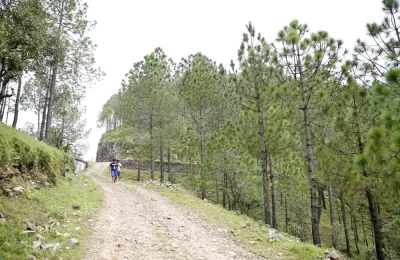 Road to Naive Homestay