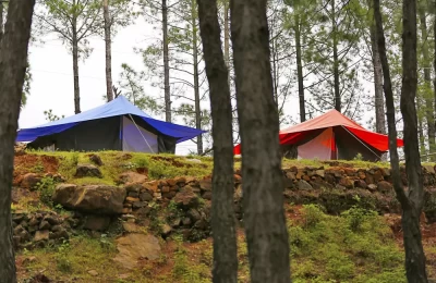 Camps in Nainidanda