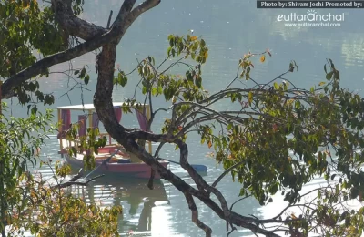 close view of Naukuchiatal, Uttarakhand