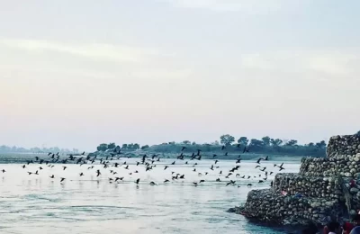 Neel Dhara Pakshi Vihar