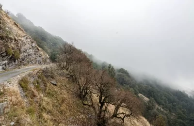 Misty weather around Pangot