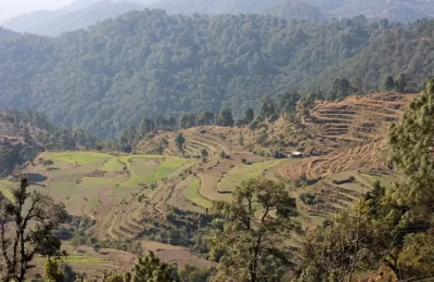 Step Fields near Pangot