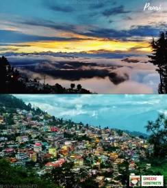 Pauri