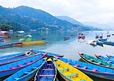 Boats in Phewa Lake