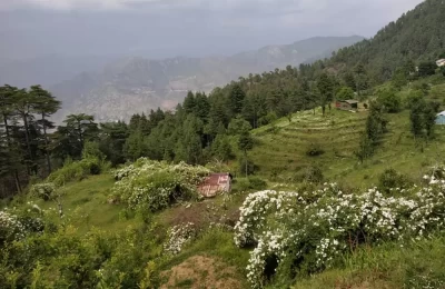 Views from Pratapnagar