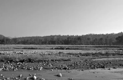Black and White Picture of river bed in Rajaji National Park