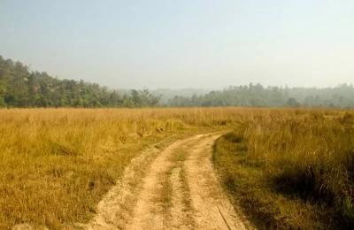 Jeep Safari trails in Rajaji