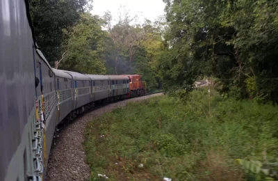 Train to Haridwar going through Rajaji National Park