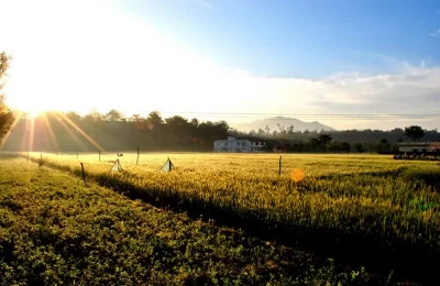 Beautiful views of fields and hills in Chilla range of Rajaji National Park