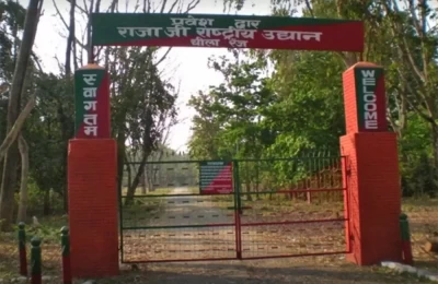 Rajaji Entry Gage in Chilla Range