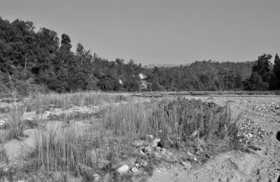 Landscapes in Rajaji National Park
