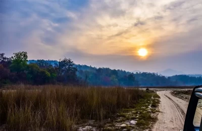 Safari in Rajaji Tiger Reserve