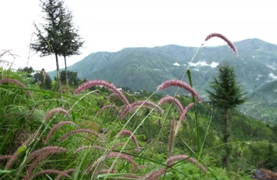 Majestic views around Ramgarh