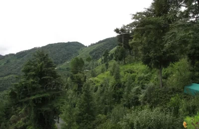 Ramgarh is famous for fruit orchids