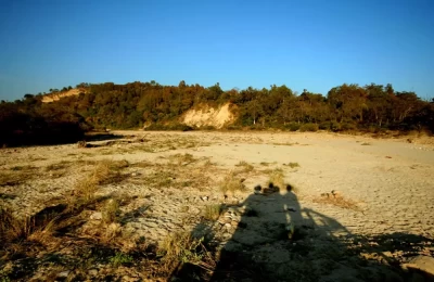 Corbett National Park near Ramnagar