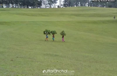 Golf Course, Ranikhet - District - Almora