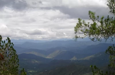 Valley Views while going to Ramnagar from Ranikhet