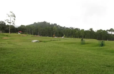 Another Picture Ranikhet Golf Course