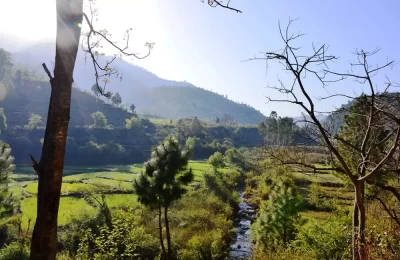 Beautiful Roadside landscapes, On The Way From Chaukhutia To Ranikhet.