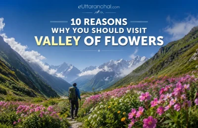 10 Reasons Why You Should Visit Valley of Flowers