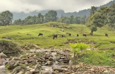 Rohini Bugyal in summers