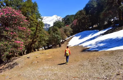 Rohini Bugyal in March and April with some snow left