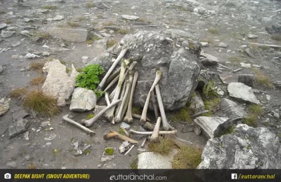 Human Bones in Roopkund