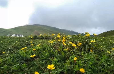 Ali Bedni Bugyal during Summers and Monsoons