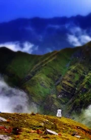 Bhagua Vasa, En Route Roopkund
