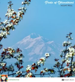 Mount Trisul from Kausani