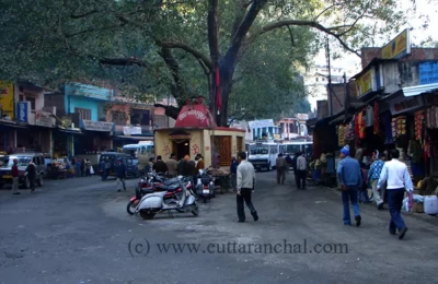 Picture of Famous Peepal Tree in Rudraprayag Chowk