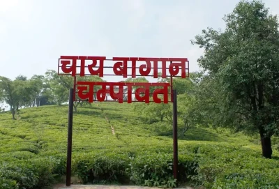 Tea Garden Champawat
