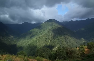 Dense green forest in Gangi Village, Tehri Garhwal.