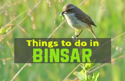 Activities In Binsar 