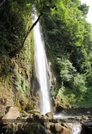 Full picture of Tiger Fall