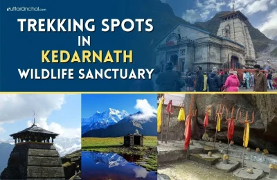 Trekking Spots in Kedarnath Wildlife Sanctuary
