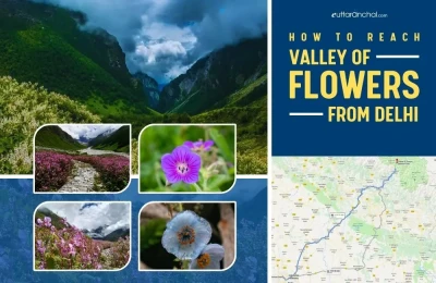 How to Reach Valley of Flower From Delhi
