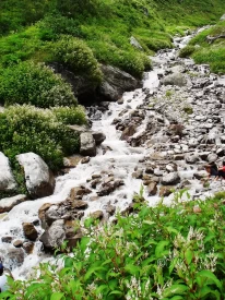 A small river with milky water in Valley of Flower. 