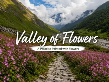 Valley of Flowers