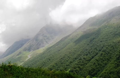 This majestic view of Valley of flower National park, Uttarakhand.