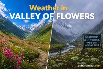 Valley Of Flowers Weather Guide