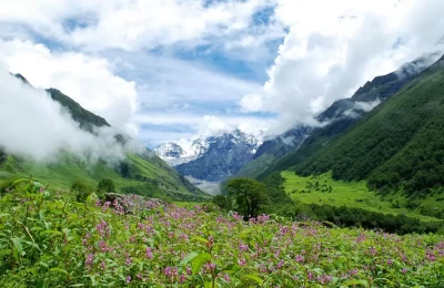 Valley of Flowers