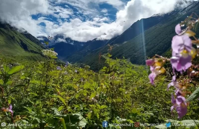 Valley of flowers national park Uttarakhand