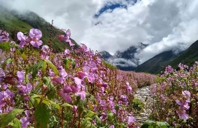 3 Nights Valley of Flowers Package (ex-Govindghat)