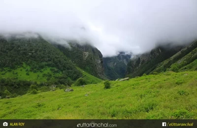 meadows at valley of flowers uttarakhand