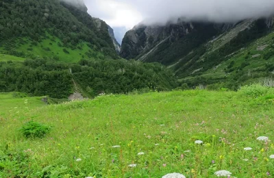 Valley of flower in the month of August