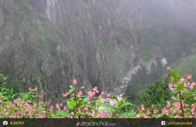 distant view of pushpawati river at valley of flowers